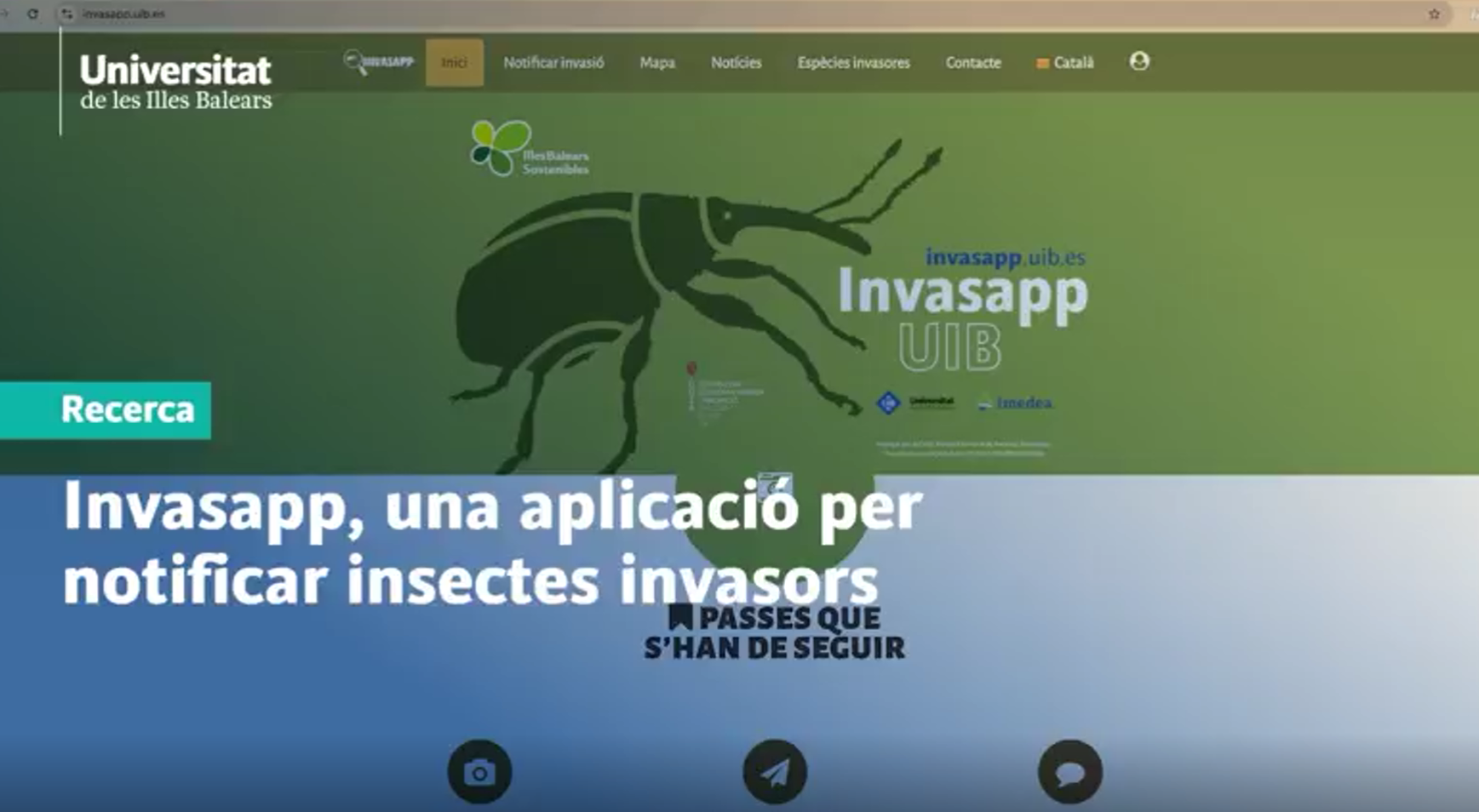 Invasapp, an application to report invasive insects